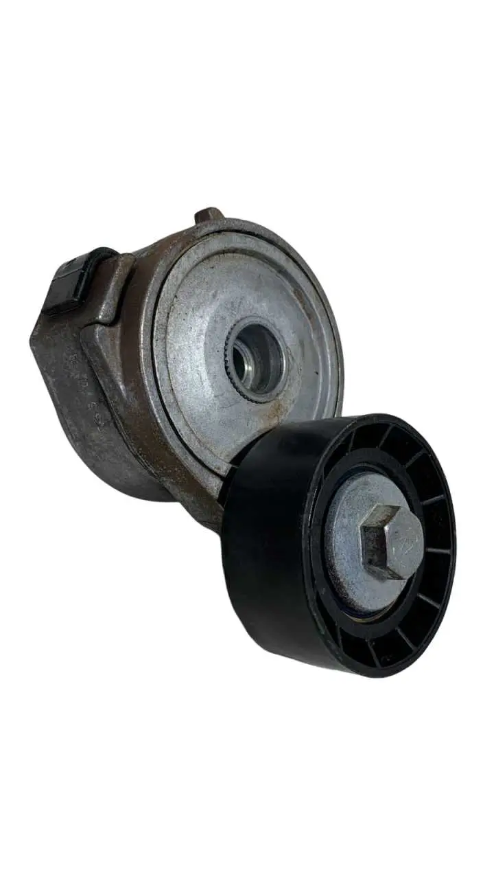 Tensor Correia Alternador Poli-v PEUGEOT 207 PASSION 2010